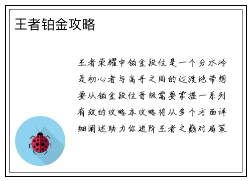 王者铂金攻略
